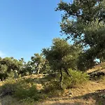 Milas-bodrum Oezel Havuzlu Triplex * Milas