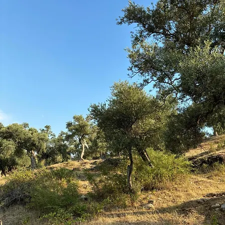 Milas-bodrum Oezel Havuzlu Triplex * Milas