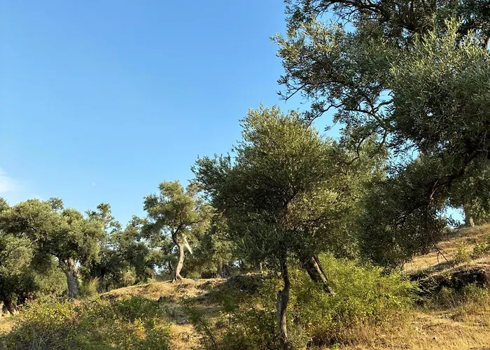 Milas-bodrum Oezel Havuzlu Triplex Vilă Milas